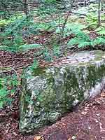 Камни на острове Петрова