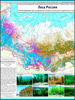 Рис.6. Карта лесов России