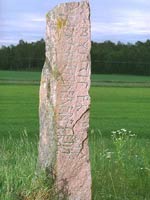 Рунический камень из Швеции